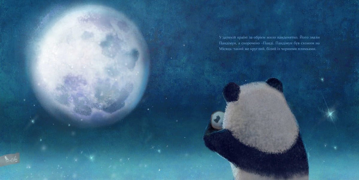 Pandimun (set of 2 books) / Пандімун (комплект із 2 книг) Кристина Нгуен -4