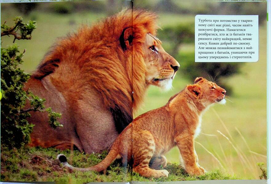 Parents and children in the animal world / Батьки і діти у тваринному світі Андрей Гапченко 978-966-989-303-1-3