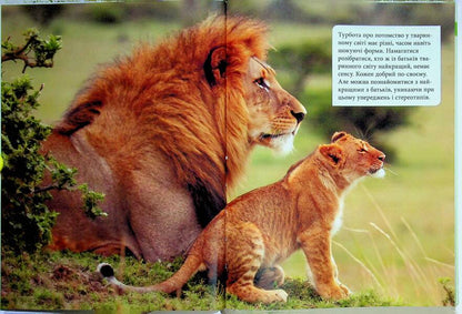 Parents and children in the animal world / Батьки і діти у тваринному світі Андрей Гапченко 978-966-989-303-1-3