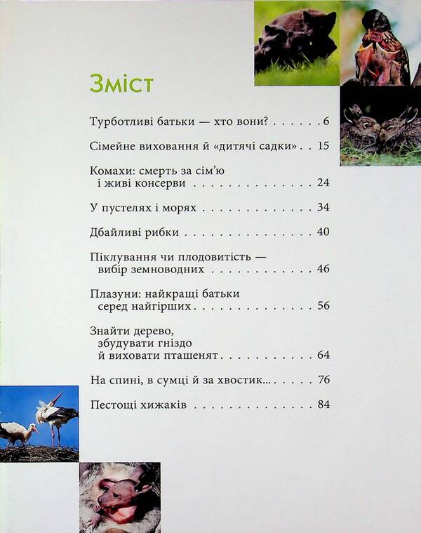 Parents and children in the animal world / Батьки і діти у тваринному світі Андрей Гапченко 978-966-989-303-1-5