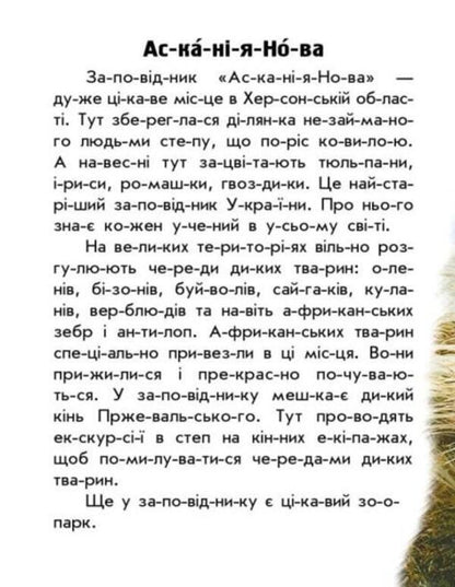 Parks And Reserves / Парки та заповідники / Author not specified 9786170981332-3