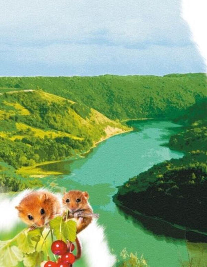 Parks And Reserves / Парки та заповідники / Author not specified 9786170981332-5