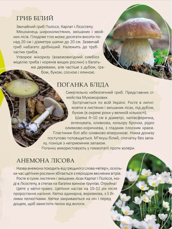 Pearls of Ukraine's nature / Перлини природи України Татьяна Станкевич 978-966-989-076-4-2