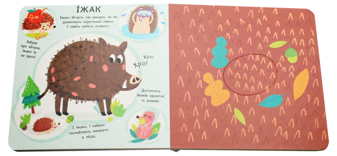 Peekaboo Animal Houses / Пікабу. Будинки тварин Market Shpachkova / Маркета Шпачкова 9789667495732-5
