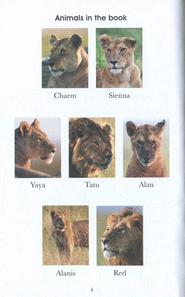 Penguin Readers. Level 1. Dynasties. Lions / Penguin Readers. Level 1. Dynasties. Lions Стивен Мосс 978-0-241-44736-9-3