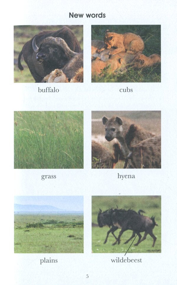 Penguin Readers. Level 1. Dynasties. Lions / Penguin Readers. Level 1. Dynasties. Lions Стивен Мосс 978-0-241-44736-9-4