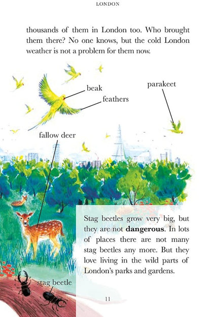 Penguin Readers Level 2. Wild Cities (ELT Graded Reader) / Penguin Readers Level 2. Wild Cities (ELT Graded Reader) Бен Лервилл 9780241542545-4