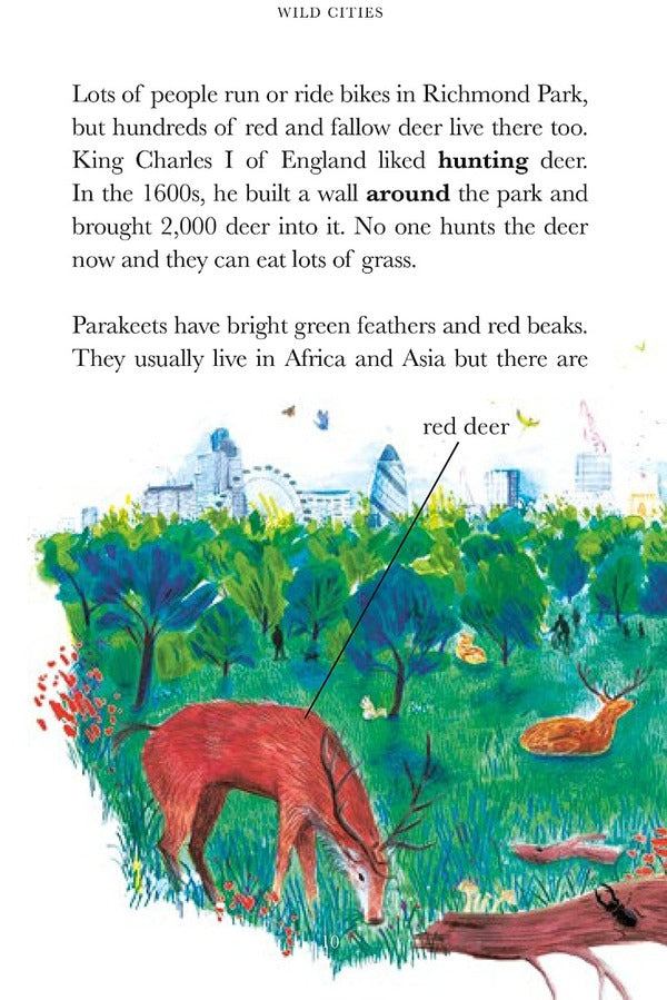 Penguin Readers Level 2. Wild Cities (ELT Graded Reader) / Penguin Readers Level 2. Wild Cities (ELT Graded Reader) Бен Лервилл 9780241542545-5