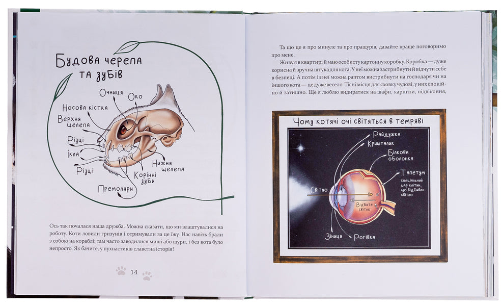 People like us. About animals and their characters / Такі, як ми. Про тварин та їхні характери Яна Хоменко 9786178253615-6