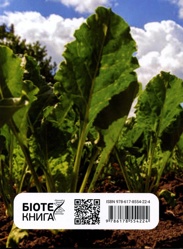 Pests of sugar beets and protection against them. Study guide / Шкідники буряків цукрових і захист від них. Навчальний посібник Сергей Станкевич, Виталий Кабанец, Инна Забродина, Виктория Меленти 978-617-8554-22-4-2