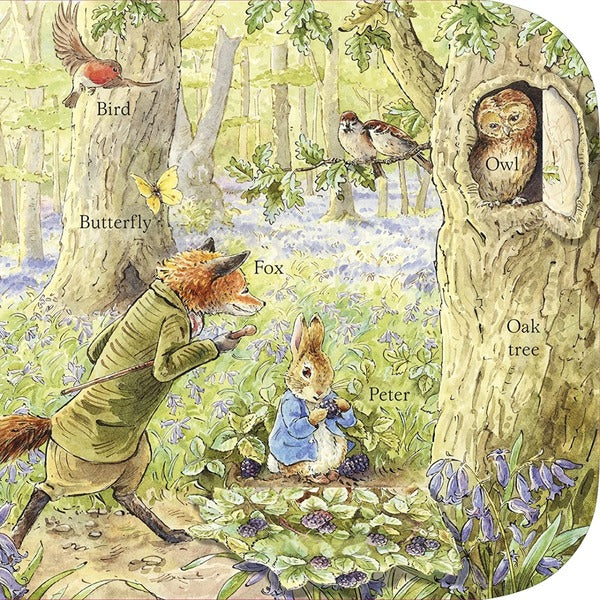Peter Rabbit Peter's First 100 Words Beatrix Potter / Беатрис Поттер 9780241612781-4
