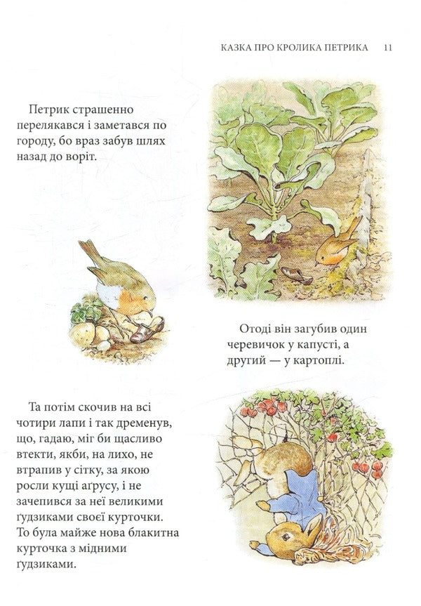 Peter the Rabbit and other stories / Кролик Петрик та інші історії Беатрис Поттер 978-617-664-255-8-4