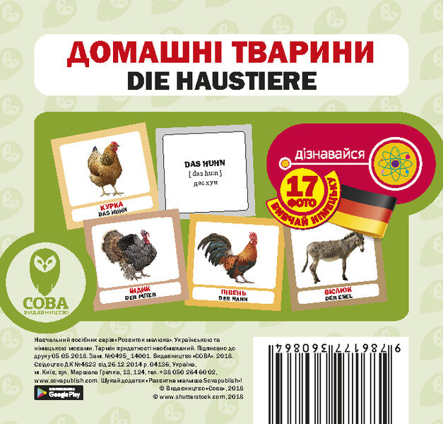 Pets / Die Haustiere. Set Of Cards / Домашні тварини / Die Haustiere. Набір карток / Author not specified 9786177360864-1