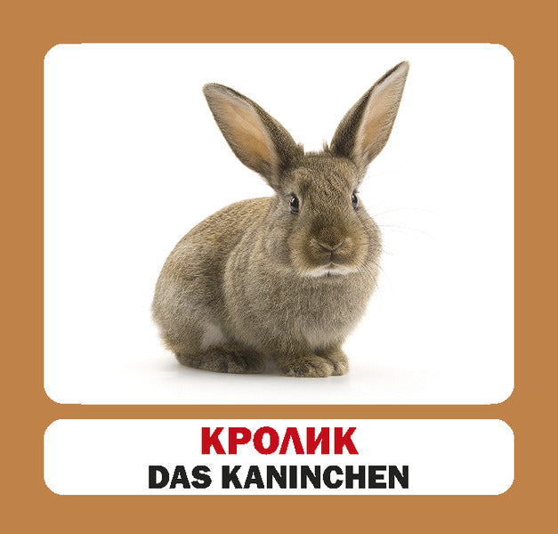 Pets / Die Haustiere. Set Of Cards / Домашні тварини / Die Haustiere. Набір карток / Author not specified 9786177360864-2