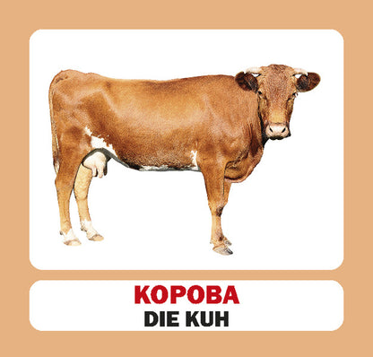 Pets / Die Haustiere. Set Of Cards / Домашні тварини / Die Haustiere. Набір карток / Author not specified 9786177360864-4