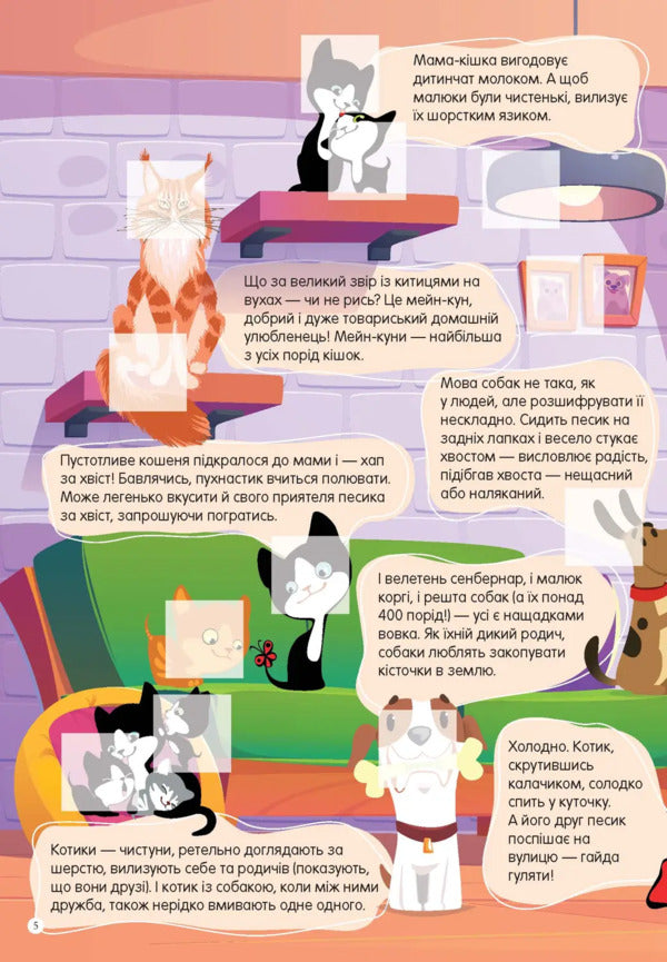 Pets - Домашн улюбленц Ekaterina Shapovalova - Екатерина Шаповалова 9789669892232-4