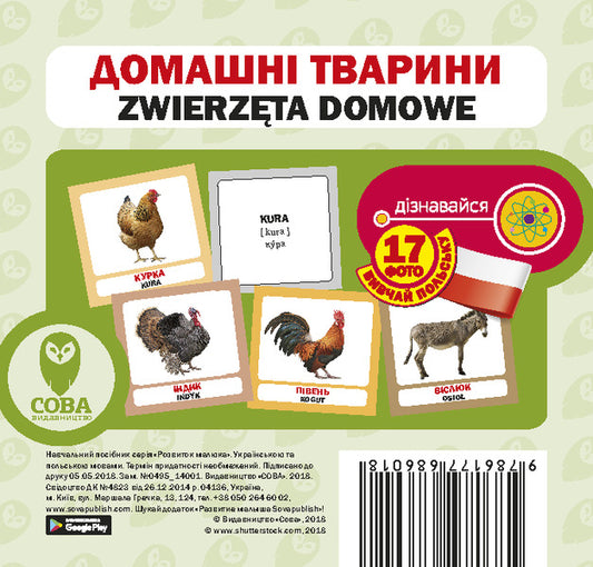 Pets / Zwierzęta Domowe. Set Of Cards / Домашні тварини / Zwierzęta domowe. Набір карток / Author not specified 9786177686018-1