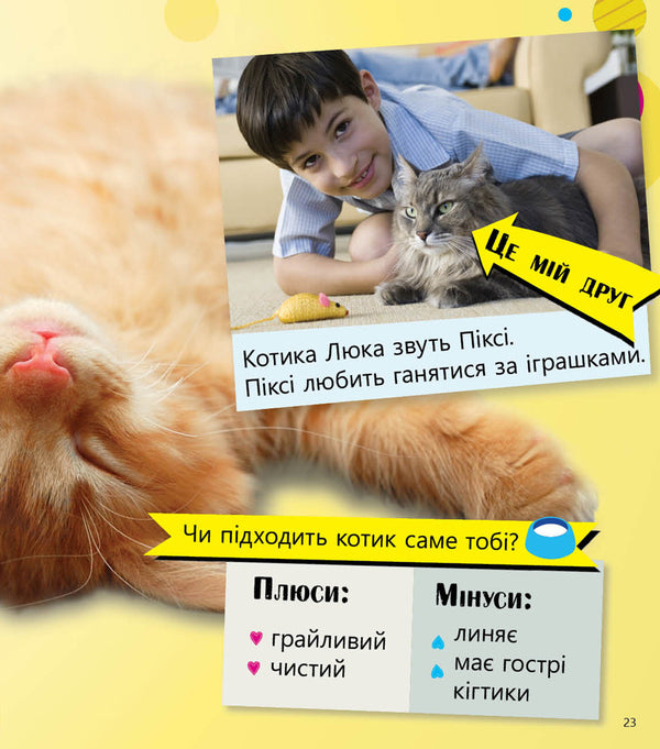 Pets and not only. Level 5 / Домашні улюбленці і не тільки. Рівень 5 Роб Олкрафт 978-617-09-4034-6-4