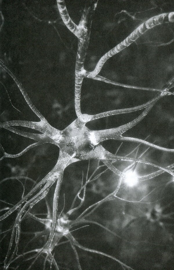 Philip K. Dick.A complete collection of short prose.In 4 volumes.Volume 1 / Філіп К. Дік. Повне зібрання короткої прози. В 4 томах. Том 1 Филип К. Дик 978-617-7585-07-6-6