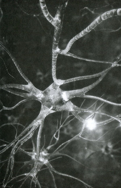 Philip K. Dick.A complete collection of short prose.In 4 volumes.Volume 1 / Філіп К. Дік. Повне зібрання короткої прози. В 4 томах. Том 1 Филип К. Дик 978-617-7585-07-6-6