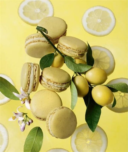 Pierre Hermé Macarons. The Ultimate Recipes from the Master Patissier / Pierre Hermé Macarons. The Ultimate Recipes from the Master Patissier Пьер Эрме 978-1-61769-171-3-4