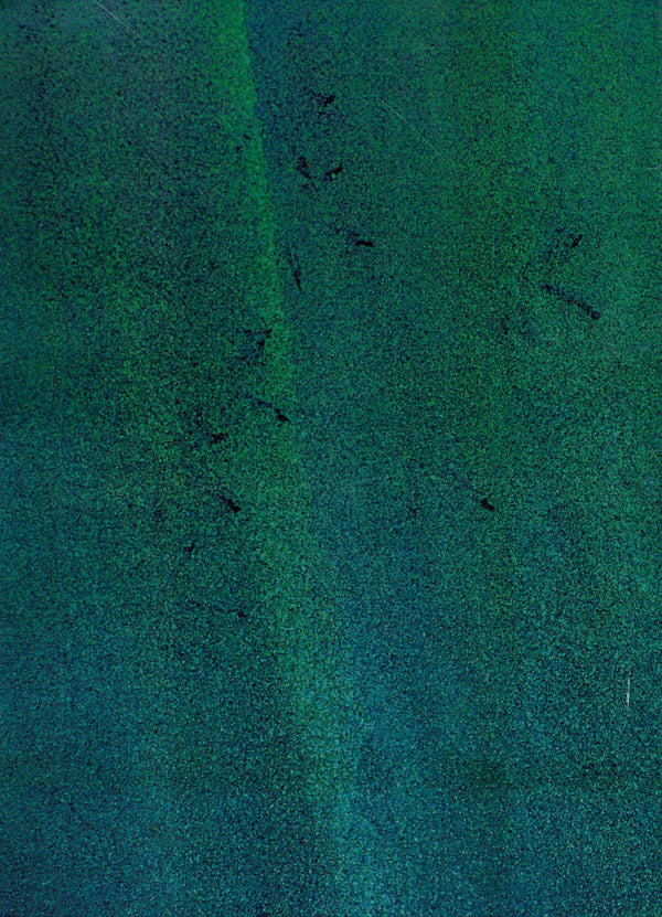 Pilsudski's drama. The war of 1920 / Драма Пілсудського. Війна 1920 р. Мечислав Прушинский 978-611-01-1357-1-2