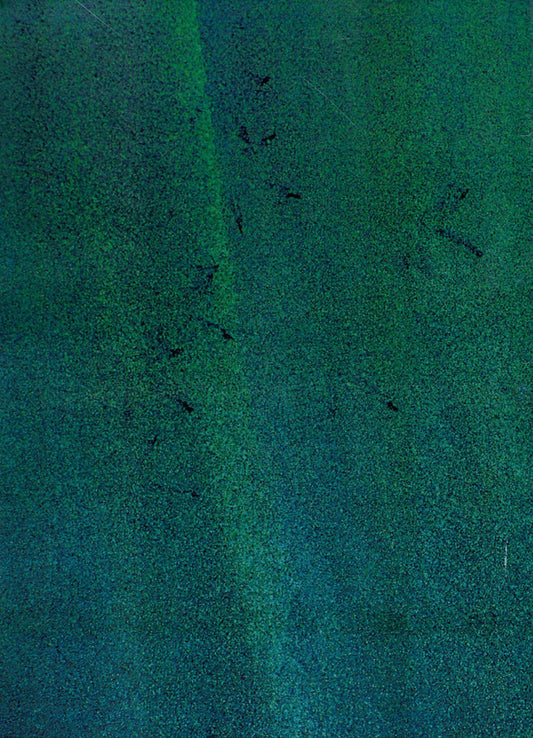 Pilsudski's drama. The war of 1920 / Драма Пілсудського. Війна 1920 р. Мечислав Прушинский 978-611-01-1357-1-2