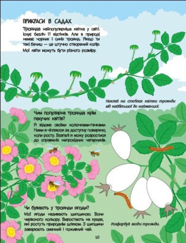 Pink Book About Flowers (+ Stickers, + Coloring, + MK Video) / Рожева книжка про квіти (+ наліпки, + розфарбовки, + відео МК) Natalia Koval / Наталія Коваль 9786170992628-4