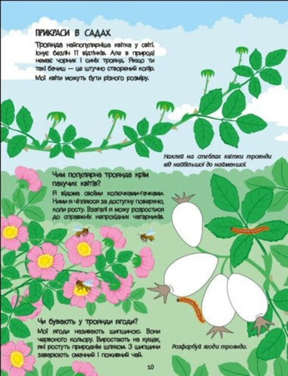 Pink Book About Flowers (+ Stickers, + Coloring, + MK Video) / Рожева книжка про квіти (+ наліпки, + розфарбовки, + відео МК) Natalia Koval / Наталія Коваль 9786170992628-4