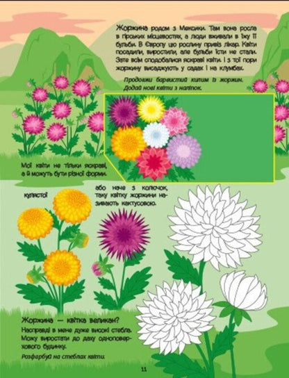 Pink Book About Flowers (+ Stickers, + Coloring, + MK Video) / Рожева книжка про квіти (+ наліпки, + розфарбовки, + відео МК) Natalia Koval / Наталія Коваль 9786170992628-5