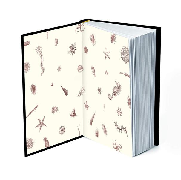 Piranesi / Piranesi Сюзанна Кларк 978-1-5266-2242-6-5