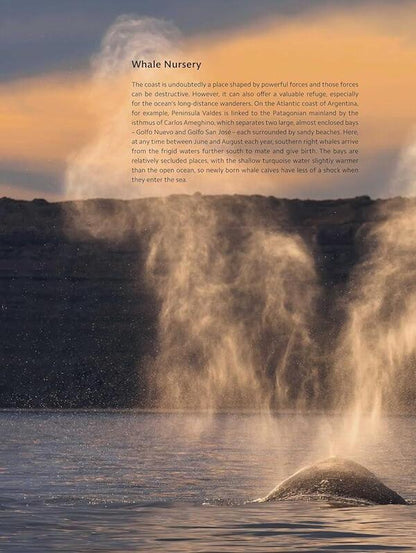 Planet Earth III / Planet Earth III Джонни Килинг, Майкл Гантон, Мэтт Брэндон 9781785948275-2