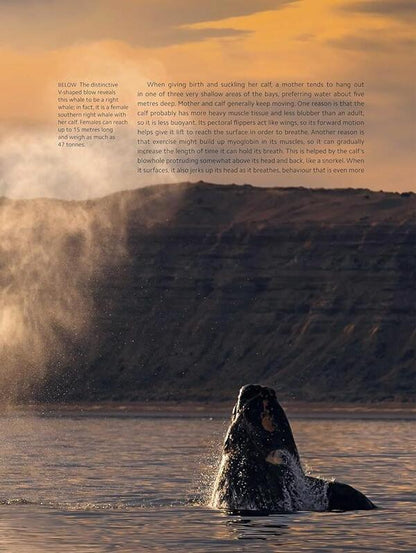 Planet Earth III / Planet Earth III Джонни Килинг, Майкл Гантон, Мэтт Брэндон 9781785948275-3