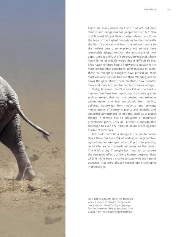 Planet Earth III / Planet Earth III Джонни Килинг, Майкл Гантон, Мэтт Брэндон 9781785948275-5