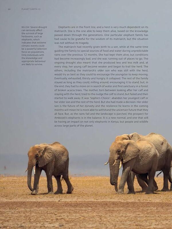 Planet Earth III / Planet Earth III Джонни Килинг, Майкл Гантон, Мэтт Брэндон 9781785948275-6