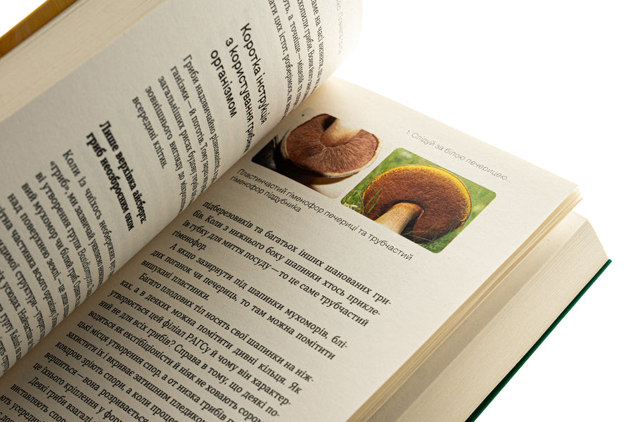 Planet Mushrooms - Планета грибв Alexei Kovalenko - Олексй Коваленко 9786178178987-5