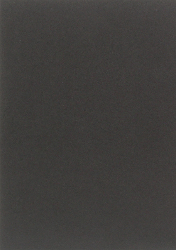 Planet of Poets. Biographical sketches / Планета поэтов. Биографические очерки Алексей Тимиргазин 978-966-489-192-6-2