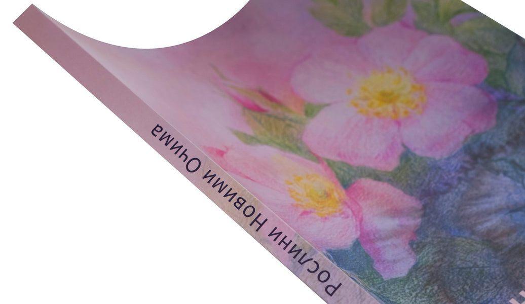 Plants With New Eyes. Workbook For Observing And Drawing Plants / Рослини новими очима. Робочий зошит для спостереження та малювання рослин Margaret Colhoun / Маргарет Колган 9786178292034-4