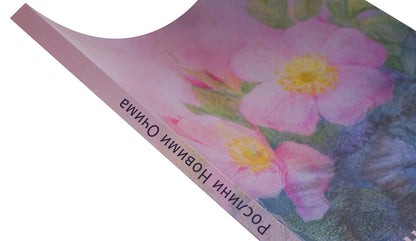 Plants With New Eyes. Workbook For Observing And Drawing Plants / Рослини новими очима. Робочий зошит для спостереження та малювання рослин Margaret Colhoun / Маргарет Колган 9786178292034-4