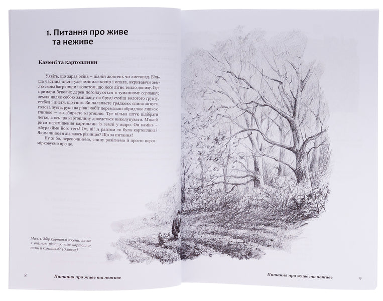 Plants With New Eyes. Workbook For Observing And Drawing Plants / Рослини новими очима. Робочий зошит для спостереження та малювання рослин Margaret Colhoun / Маргарет Колган 9786178292034-6