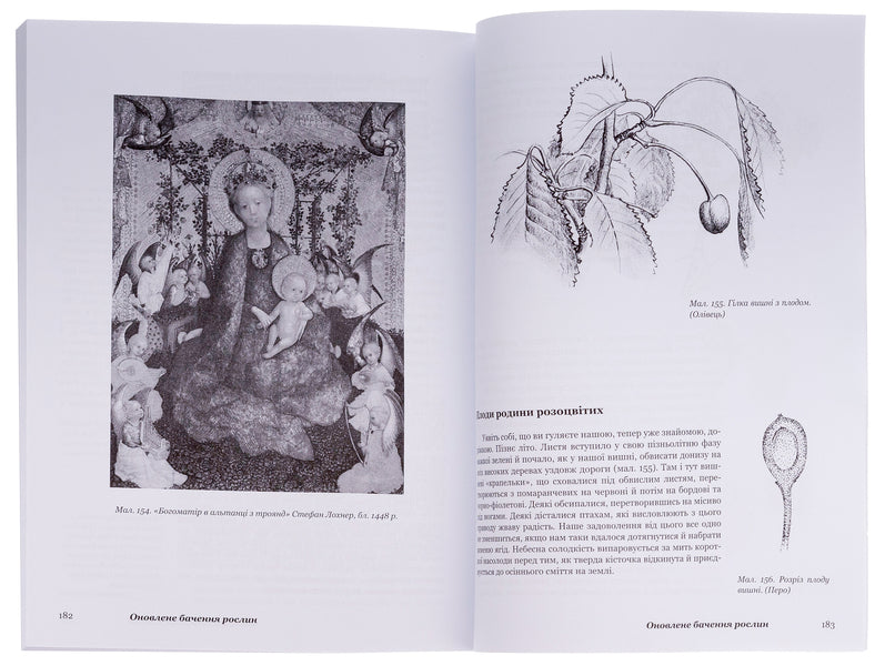 Plants With New Eyes. Workbook For Observing And Drawing Plants / Рослини новими очима. Робочий зошит для спостереження та малювання рослин Margaret Colhoun / Маргарет Колган 9786178292034-5