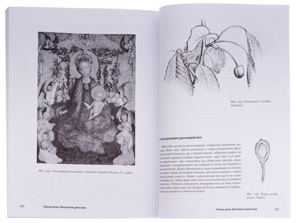 Plants With New Eyes. Workbook For Observing And Drawing Plants / Рослини новими очима. Робочий зошит для спостереження та малювання рослин Margaret Colhoun / Маргарет Колган 9786178292034-5