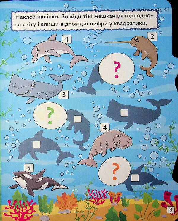 Play. Search. Draw. Dolphin / Грай. Шукай. Малюй. Дельфін Александр Рындя 9786175243503-5