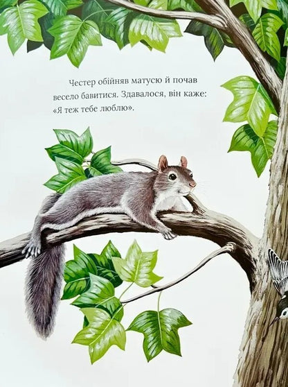 Pocket, Full Of Kisses / Кишенька, повна поцілунків Penn / Одрі Пенн 9786179538636-6