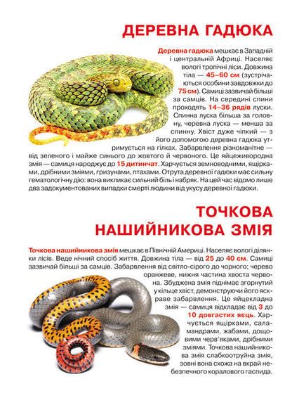 Poisonous snakes / Отруйні змії Олег Завязкин 978-966-987-032-2-3