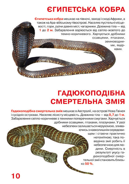 Poisonous snakes / Отруйні змії Олег Завязкин 978-966-987-032-2-5