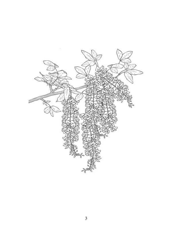 Poisons and curses. Shadow life of plants / Отрути і прокляття. Тіньове життя рослин Фез Инкрайт 978-611-01-3496-5-3