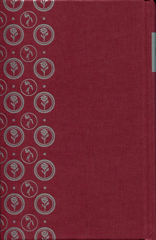 Portrait of Dorian Gray / Портрет Доріана Ґрея Оскар Уайльд 978-617-8662-01-1-4
