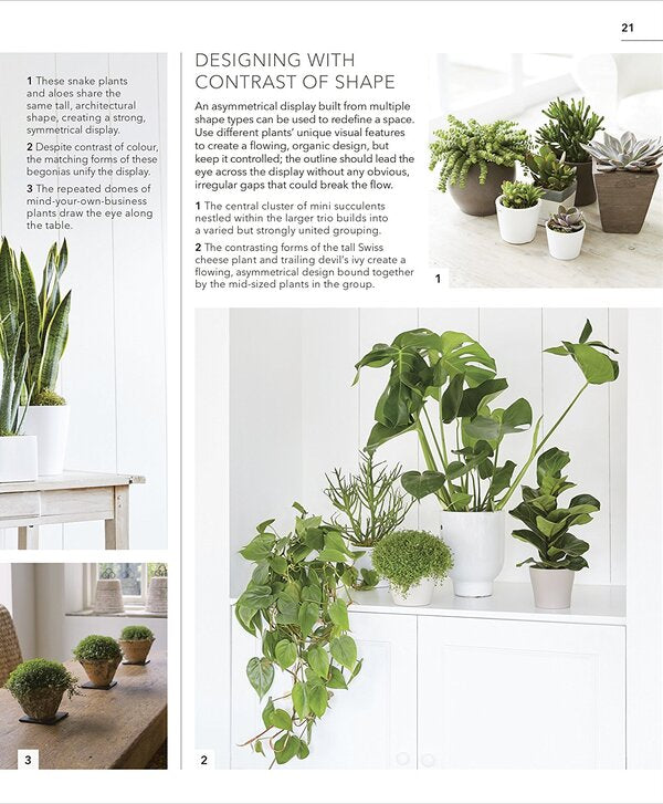 Practical House Plant Book Fran Bailey, Zia Allaauay / Фрэн Бейли, Зия Аллауэй 9780241317594-5