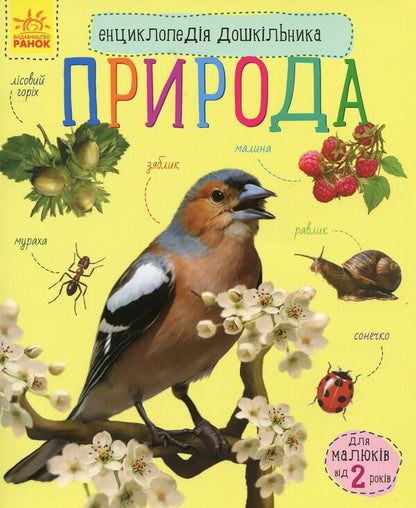 Preschool encyclopedias (a set of 10 books) / Енциклопедії дошкільника (комплект із 10 книг) Юлия Каспарова, Наталия Популях 978-617-09-5648-4, 978-617-09-5066-6, 978-617-09-4199-2, 978-617-09-3729-2, 978-617-09-3617-2, 978-617-09-3619-6, 978-617-09-2834-4, 978-617-09-2835-1, 978-617-09-2831-3, 978-617-09-2997-6-3